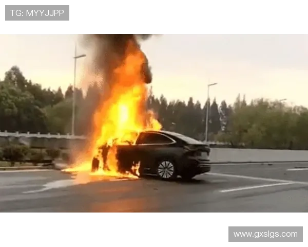 老雷退役后梦想开车却因无牌作罢