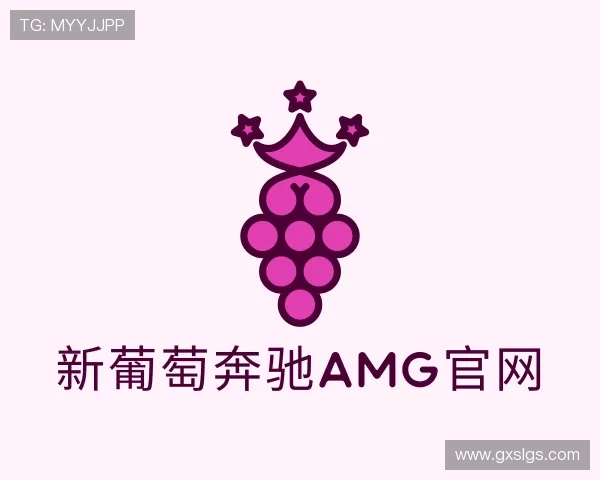 解读新葡萄奔驰AMG官网